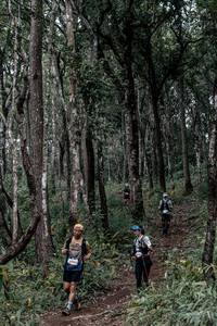 BIB: 
                            <button type="button" onclick="openModal(22792017)" class="btn btn-primary btn-sm float-right btn-popup" data-toggle="modal" data-target=".modal-high-quality">
                        <i class="fas fa-shopping-cart"></i> Add to Cart
                    </button>
                                            <button type="button" onclick="isThisMe(22792017, true)" class="btn btn-success btn-sm float-right btn-popup btn-isme hidden" data-toggle="tooltip" data-placement="bottom" title="นี่คือรูปของคุณใช่ไหม คลิกที่นี่เพื่อเอาเข้าอัลบั้ม">
                        <i class="fas fa-plus"></i> Add to album
                    </button>
                    <button type="button" onclick="isThisMe(22792017, false)" class="btn btn-warning btn-sm float-right btn-popup btn-isnotme hidden">
                        <i class="fas fa-ban"></i> Remove from album
                    </button>